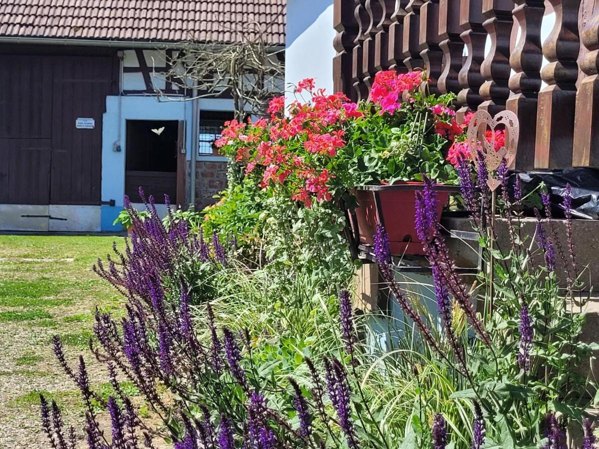Cosy Holiday Home In Schleithal With Garden المظهر الخارجي الصورة