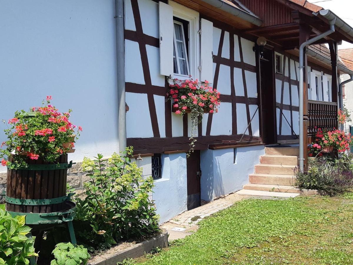 Cosy Holiday Home In Schleithal With Garden المظهر الخارجي الصورة
