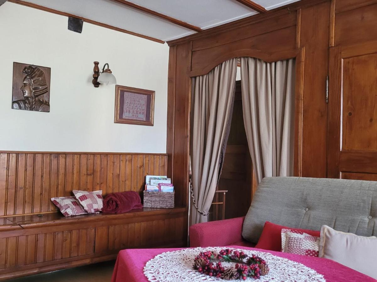 Cosy Holiday Home In Schleithal With Garden المظهر الخارجي الصورة