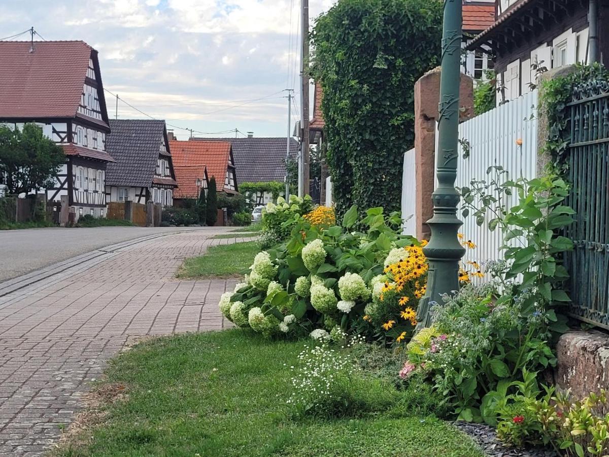 Cosy Holiday Home In Schleithal With Garden المظهر الخارجي الصورة