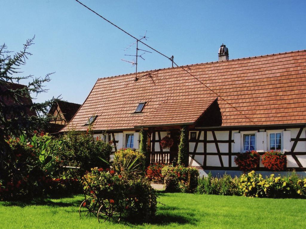 Cosy Holiday Home In Schleithal With Garden المظهر الخارجي الصورة